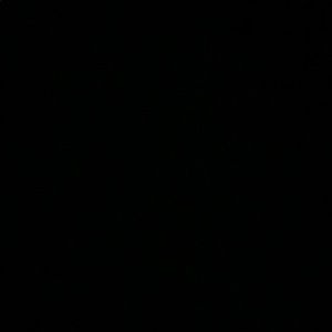 Meet your Posher, Jackson